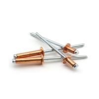 〖Maximus metals〗4x13Copper ตาบอด Rivets T2หัวทองแดงบริสุทธิ์ดึงเล็บเปิดประเภทหัวกลมทองแดงดึงหมวกเล็บ GB12618.520