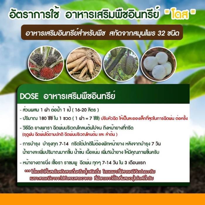 1-ขวด-dose-โดส-ฮอร์โมนพืช-ป้องกันเชื้อรา-อาหารเสริมพืช-เร่งผลผลิต-เร่งใบ-เร่งต้น-เร่งดอก-เร่งนํ้ายาง-เร่งโต-โตไว-ใบเขียว-เพิ่มผลผลิต