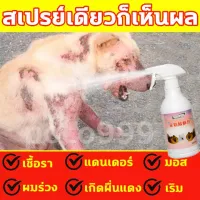 Kaililai สเปรย์รักษาขี้เรื้อน 500ml ยาขี้เรื้อนหมา ยาแก้เรื้อนหมา ยารักษาขี้เรื้อนหมา ผื่นแดง อาการคัน ผิวหนังอักเสบ ตุ่มคัน ขี้เรื้อนเรื้อรัง เชื้อราแมว ยาทาขี้เรื้อน ยาแก้เรื้อนแมว สเปรย์รักษาขี้เรื้อนหมา สเปรย์รักษาขี้เรื้อนหมาแมว