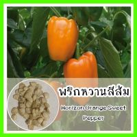 รหัส 169 เมล็ดพันธุ์ พริกหวานสีส้ม - Horizon Orange Sweet Pepper พืชผักสวนครัว เมล็ดนำเข้า ปลูกผัก พริกหยวก พริก