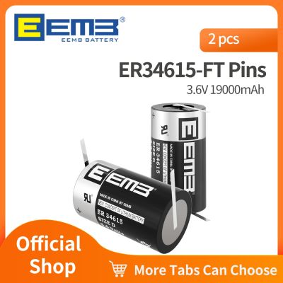 2PCs EEMB 3.6V D size battery er34615 lithium cell battery with FT pin 19000mAh non-rechargeable for PLC battery LED Strip Lighting