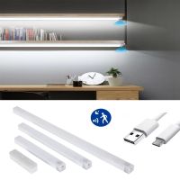 PIR Motion Sensor LED Night Light Dimmable Rechargeable Closet Room Aisle Wireless Portable Lighting Bedroom Desk Lamp Detector Night Lights