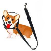 Adjustable Dogs Harness Collar Pet Accessories Solid Color Two-in-one Pet Car Seat Belt Nylon Lead Leash Backseat Safety Belt Collars