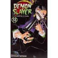 This item will be your best friend. &amp;gt;&amp;gt;&amp;gt; Demon Slayer 13 : Kimetsu No Yaiba