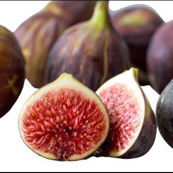 10 เมล็ด เมล็ดมะเดื่อฝรั่ง Figs สายพันธุ์ Bayer Violeta ของแท้ 100% มะเดื่อฝรั่ง หรือ ลูกฟิก (Fig) อัตรางอก 70-80% Figs seeds มีคู่มือวิธีปลูก