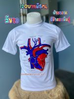 เสื้อยืดผ้าบางtk/มีข้างตะเข็บคู่/heart anatomy/ใส่ได้ทั้งช/ญ