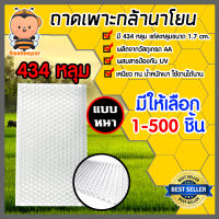 ถาดเพาะกล้านาโยน (แบบหนา) มีให้เลือก 1-500 ชิ้น ผสมสารป้องกันUV มี 434 หลุม ถาดนาโยน ถาดเพาะกล้า ถาดกล้านาโยน ถาดเพาะปลูกกล้า