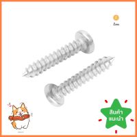 สกรูเกลียวปล่อย TP DEXZON 6X3/4 นิ้ว 25 ตัวSELF-TAPPING SCREW TP DEXZON 6X3/4IN 25PCS **พลาดไม่ได้แล้วจ้ะแม่**