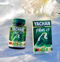 YACHAN PLUS X 3