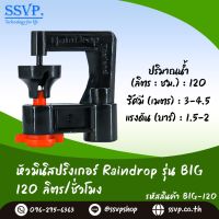 สปริงเกอร์ Raindrop รุ่น BIG-120 อัตราการจ่ายน้ำ 120 ลิตร/ชั่วโมง