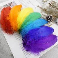 ✲☞ Wholesale Soft Goose Feather 13-18cm Natural Swan Plume for DIY Jewelry Creation Handicraft Accessories Wedding Party Decoration