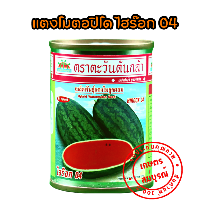 แตงโมตอปิโด-ไฮร๊อก-02-04-เมล็ดพันธุ์-40-ก-ตราตะวันต้นกล้า