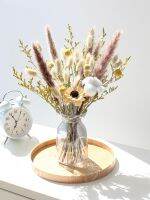 Natural air dried eternal flower real flower reed lover grass gold ball Eucalyptus home table decoration ornaments