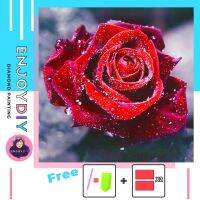 ครอสติสคริสตัล 5d diy diamond painting แบบเม็ด ลาย กุหลาบแดง ติดเต็ม เม็ดกลม แถมชุดพื้นฐาน พร้อมส่งพรุ่งนี้ มีประกันเม็ดสีเติมฟรี EnjoyDIY toys