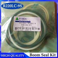 【hot】﹉  R220LC-9S Boom Cylinder for Excavator Parts