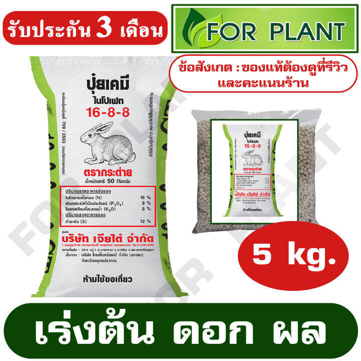 ปุ๋ย-สูตร-16-8-8-ตรากระต่าย-ct-เเบ่งบรรจุ-5-กิโลกรัม-เร่งต้น-ดอก-ผล