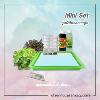 Mini set ชุดมินิทดลองปลูกผักระบบไฮโดรโปนิกส์ สุดคุ้ม