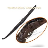 ( Pro+++ ) สุดคุ้ม TAHITENSIS VANILLA BEAN / VANILLA POD 1 POD ฝักวนิลาตาฮิติ 1 ฝัก ราคาคุ้มค่า พรรณ ไม้ น้ำ พรรณ ไม้ ทุก ชนิด พรรณ ไม้ น้ำ สวยงาม พรรณ ไม้ มงคล