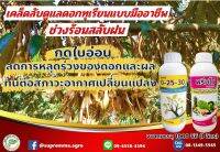 ปุ๋ยน้ำ ธานอส 0-25-30+กรดอะมิโนเข้มข้น พรีมโม่ ***ชุดดูแลดอกทุเรียนแบบมืออาชีพ