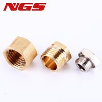 1/8" 1/4" 3/8" 1/2" 3/4" 1" Brass Pipe External Hex Head Fittings Male And Female Thread Air Fuel Cap Connector Adapter Valves