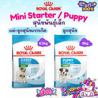 Royal Canin Mini Starter 8.5kg / Mini Puppy 8kg exp10/24 โรยัลคานิน แม่สุนัข สุนัขท้อง ลูกสุนัข พันธุ์เล็ก กระสอบขนาด 8 กิโลกรัม