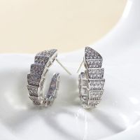 Silver Color Snake Earrings with Bling Zircon Stone for Women Fashion Jewelry 2022 New Trend Korean Earrings