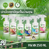 B&amp;K Natural สเปรย์ไล่และป้องกันเห็บหมัด ทำจากสมุนไพรธรรมชาติ ไม่เป็นอันตราย สกัดจากตะไคร้หอม และ ยูคาลิปตัสบรรจุ 250 ml.