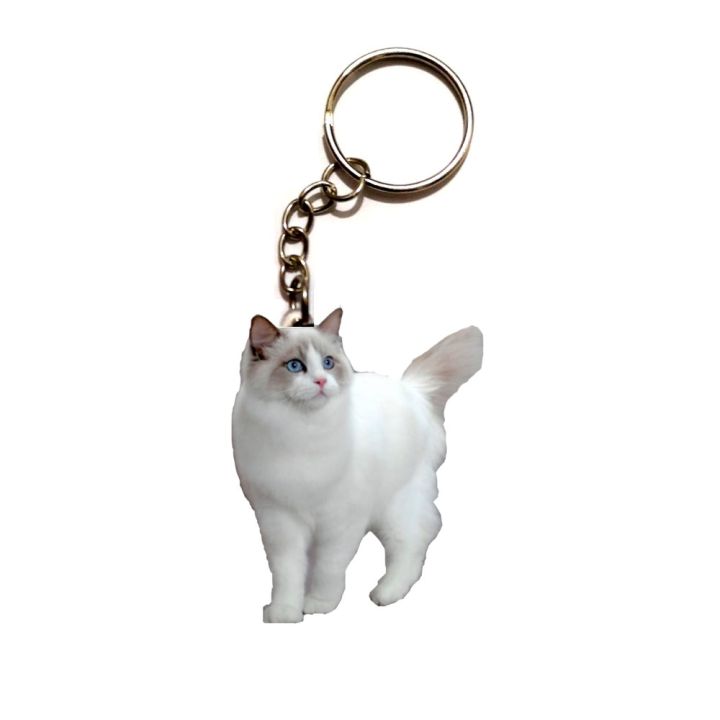 white-sheep-acrylic-keychain-flying-wing-keyring-pendants-gift-best-friend-chain-accessories-keyring-men-toy-mass-effect-women-key-chains
