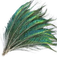 10pcs Emerald Green Natural Peacock Feathers Decoration 30-35cm Peacock Sword Plume for Crafts Wedding Home Accessory