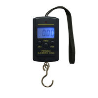 MINI DIGITAL Scale LED เครื่องชั่งน้ำหนักแบบพกพา 40 กก.10g ตกปลาอิเล็กทรอนิกส์แขวนกระเป๋าน้ำหนัก Hook-paeoui