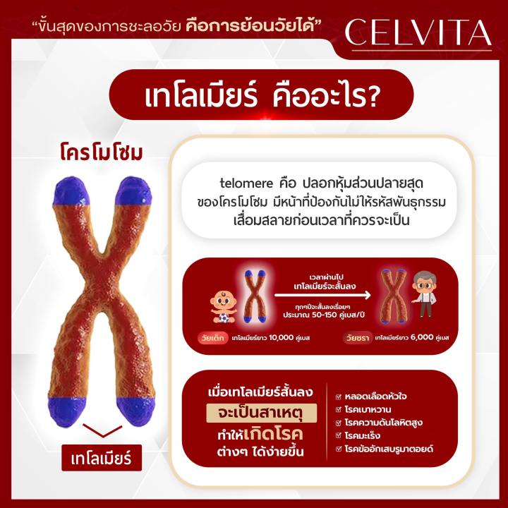 อาหารเสริม-celvita-ย้อนวัยได้-โปร-10-กล่อง-ครีม-2-กล่อง