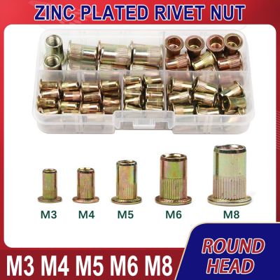 M3 M4 M5 M6 M8 Rivet Nuts Zinc Plated Kit Flat Head Threaded Insert Nutsert Cap Fasteners Carbon Steel Knurled Nuts Rivetnut Set
