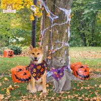 BP【ready Stock】Pet Halloween Triangle Scarf Pumpkin Ghost Skull Pattern Dog Cat ผ้าพันคอสีสันสดใส Bibs Pet AccessoriesCOD【cod】