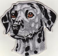 iron on patch Embroidery Dog Dalmatian 8x8 cm หมาป่า ดัลเมเชี่ยน ตัวรีด เย็บติดผ้าประเทศไทย โลโก้ปัก มีกาวสำหรับรีด ตกแต่งเสื้อผ้า