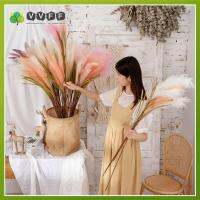 Vvvff 40นิ้ว Props ที่มีสีสันแต่งงานอุปกรณ์ตกแต่งบ้าน Pampas หญ้าดอกไม้ Phragmites พืชกกช่อดอกไม้ปลอม Pampas Faux