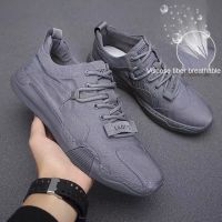 Ice silk cloth shoes men 2023 new Korean trend casual shoes spring breathable deodorant canvas sneakers all-match tide