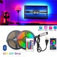 5V USB LED Strip Light Bluetooth 1M 2M 5M 10M 15M 20M 30M RGB 5050 2835 TV Background Lighting Home Decoracion Fairy LED Lights LED Strip Lighting