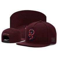 Hot 2020 NEW Cayler SonS Fashion Hat Adjustable Baseball Snapback all color Cap Hip Hop Cap 41