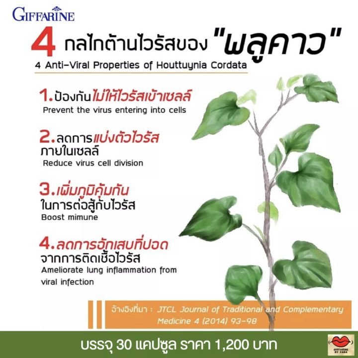 รายละเอียดสินค้า-ส่งฟรี-เบตา-พลูคาว-กิฟฟารีน-ผลิตภัณฑ์เสริมอาหาร-พลูคาวสกัด-ผสมเบตา-กลูแคน-ชนิดแคปซูล-giffarine-beta-plu-kao-30-แคปซูล-กิฟฟารีน-เบต้า-พลูคาว-giffarine-beta-plu-kao-ผลิตภัณฑ์เสริมอาหาร-