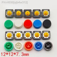 20PCS Tactile Push Button Switch Momentary 12x12x7.3MM Micro switch button (20PCS 5 colors Tact Cap)