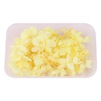 1 Box Dried Flowers UV Resin Decorative Natural Flower Stickers 3D Dry Beauty Decal Epoxy Mold DIY Filling Making Craft