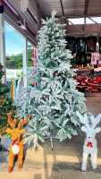 ต้นคริสมาสต์ ต้นสนพ่นหิมะ ฐานเหล็กก้านสนฟูหนา ต้นคริสต์มาสขนาดกลาง 7 /2.1M Christmas Tree