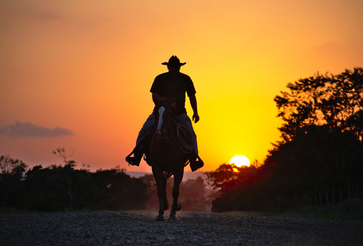 โปสเตอร์-cowboy-คาวบอย-โปสเตอร์ติดผนัง-ของแต่งบ้าน-ของตกแต่งห้องนอน-77poster