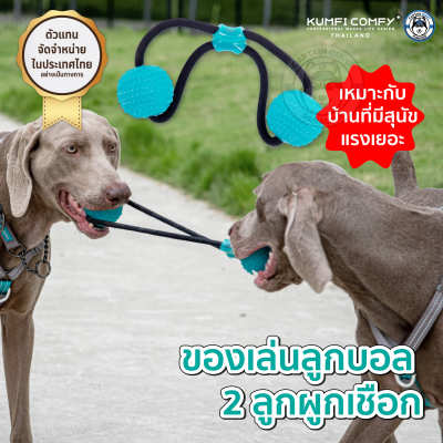 บอลคู่สำหรับกัด ของเล่นสุนัข Double Ball Rope Chew - Kumfi Comfy จากตัวแทนจำหน่ายอย่างเป็นทางการ เจ้าเดียวในประเทศไทย