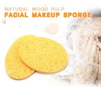 【CW】❀✾  10Pcs Sponge Cleaning Compression Soft Facial Puff Cleanser Spa Exfoliating Face