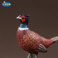 Papo Pheasant โมเดลสัตว์ป่าโลกแห่งของเล่นสัตว์เด็ก