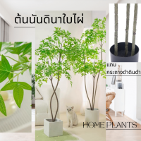 Plant-L(NTZ) ต้นไม้ปลอม ต้นนันดินาใบไผ่ แต่งบ้านแต่งสวน ต้นไม้ขนาดใหญ่ ราคาส่ง พร้อมส่งในไทย ต้นไม้แต่งโรงแรม แต่งคาเฟ่