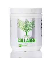 Collagen 300 Grams ( 60 Serving )