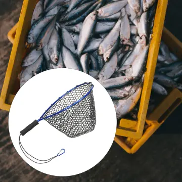 Nets Big Fish - Best Price in Singapore - Feb 2024