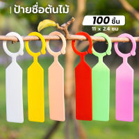 【CHOOL】(100 ชิ้น) แท็กต้นไม้ ป้ายแท็ก ป้ายชื่อต้นไม้ Flower tag ป้ายชื่อ แคคตัส ตกแต่งสวน ป้ายแท็กพลาสติก ชิ้นสําหรับแขวนตกแต่งต้น